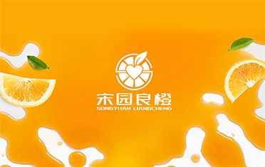 某良橙——丽水LOGO设计